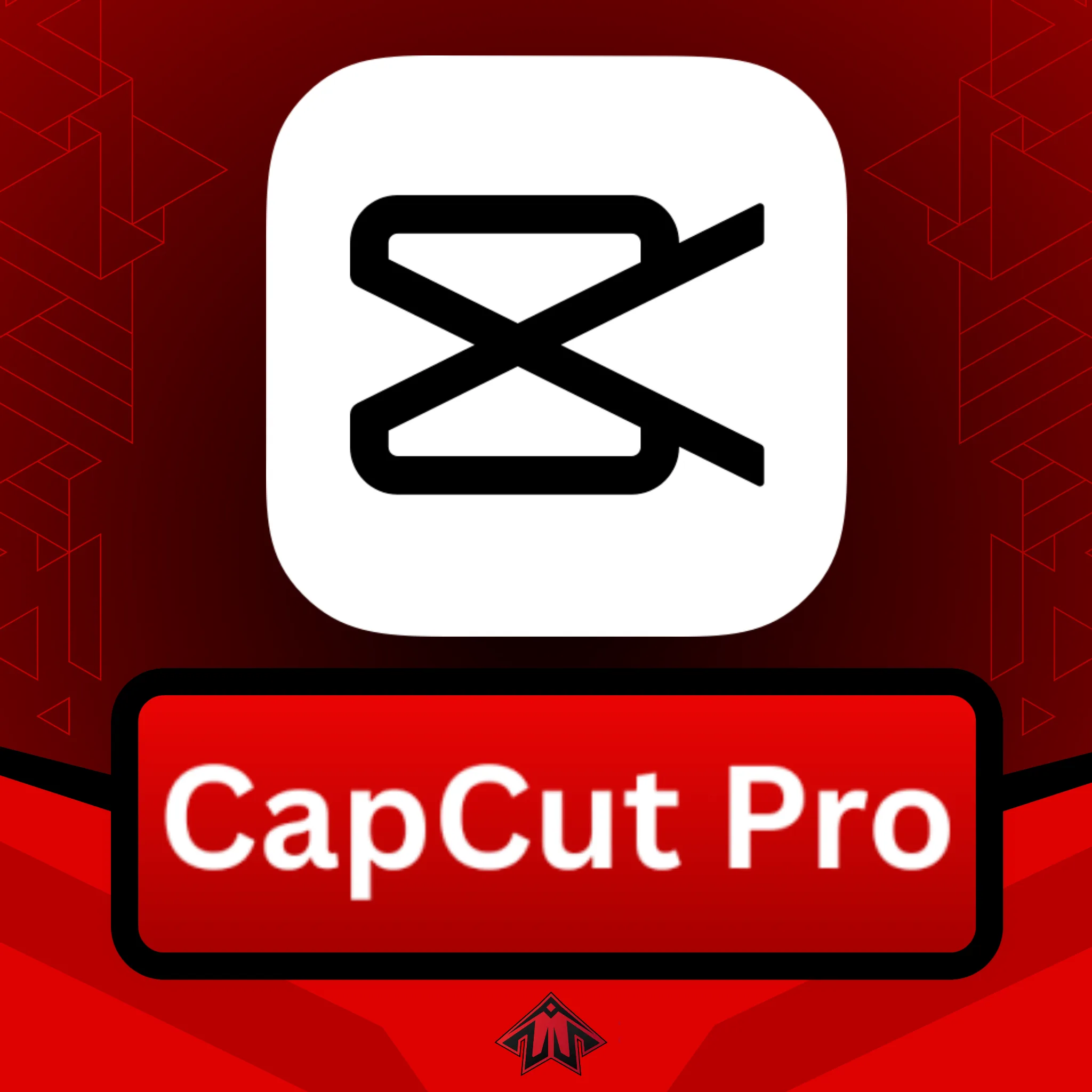 CapCut Pro